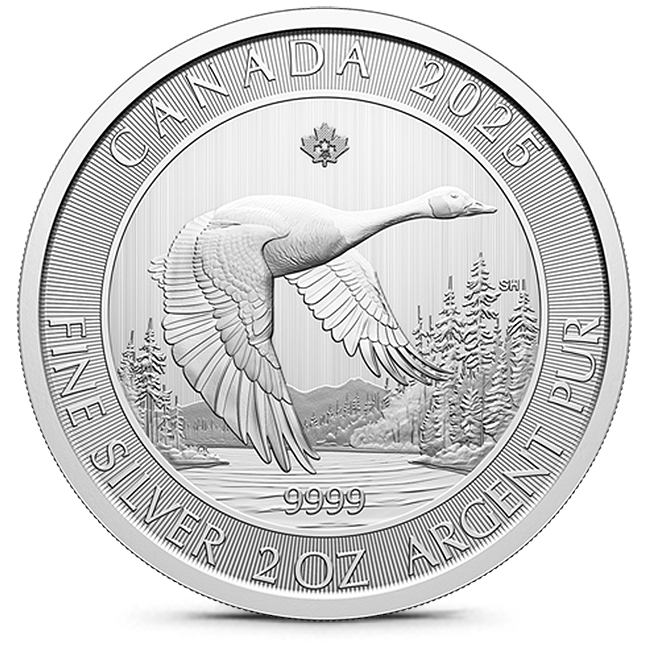 Buy the 2025 2 oz Canada Goose .9999 Silver Coin (BU